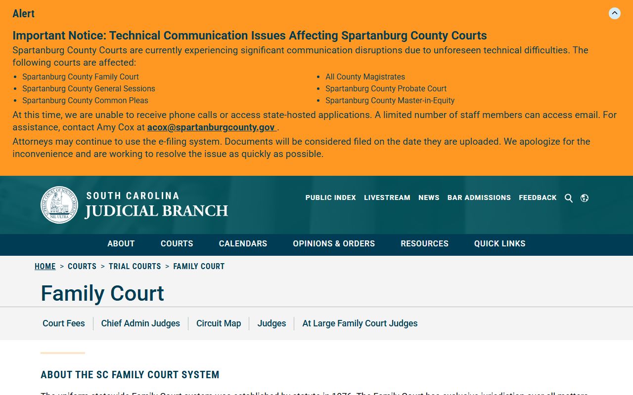 Fairfield County court dockets South Carolina Family Court overview